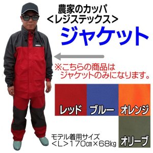 画像: 新レジステックス　ジャケット