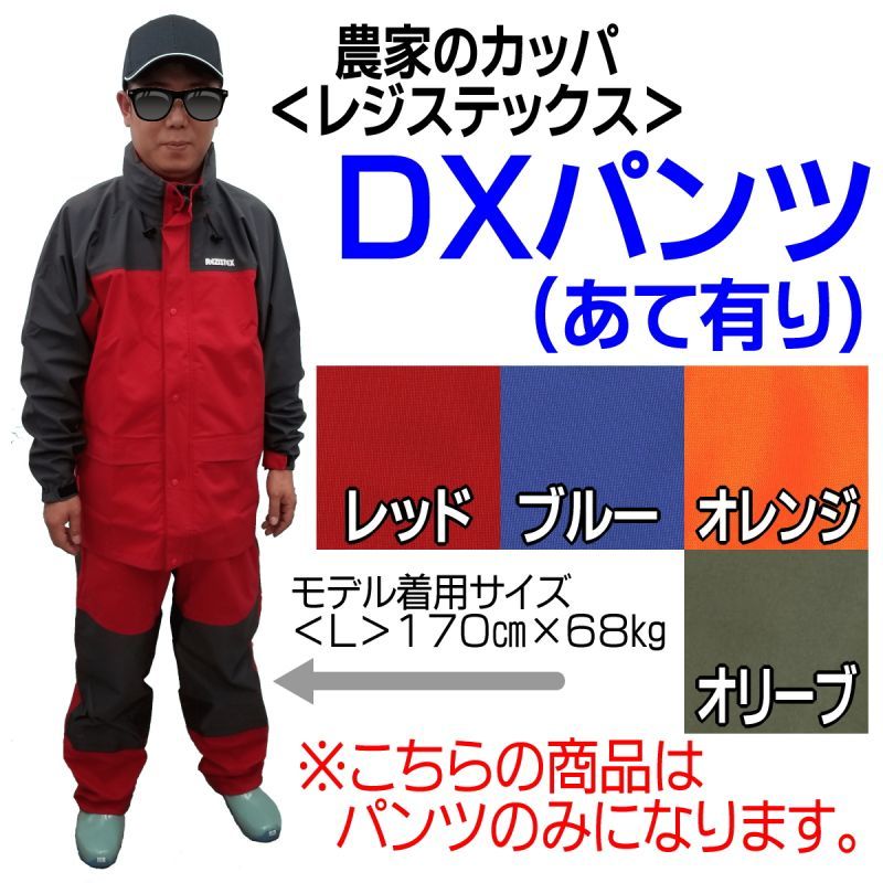 画像1: 新レジステックス　DXパンツ（あて有り）